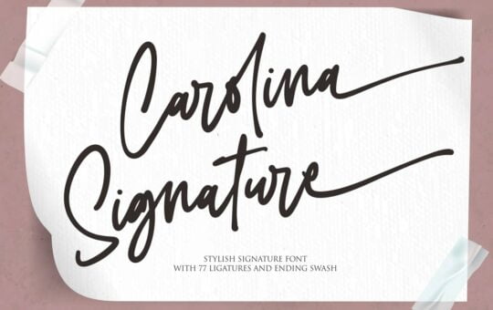 Carolina-Signature-Script-Handwritten-Font-1.jpg