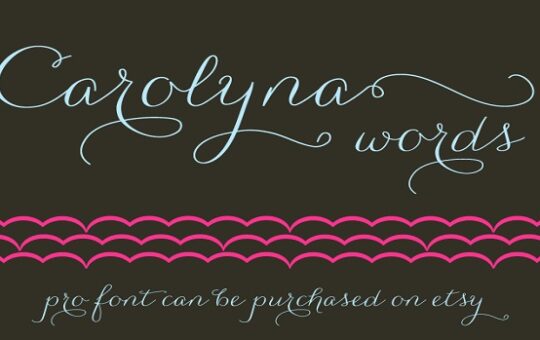 Carolyna-Words-Font-Family.jpg