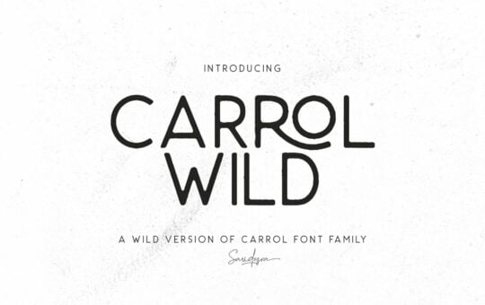 Carrol-Wild-Font.jpg