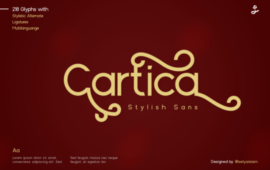 Cartica-Stylish-Sans-Serif-Font.png