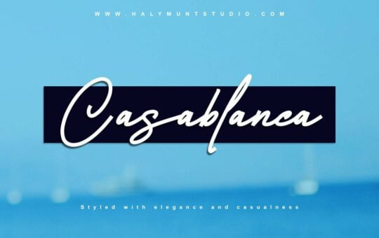 Casablanca-Monoline-Signature-Script-Font-1.jpg