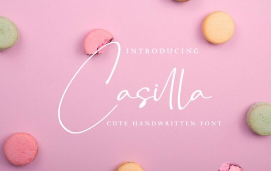 Casilla-Handwritten-Script-Font.jpg