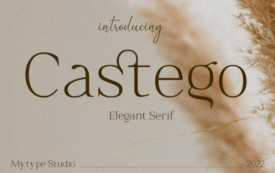 Castego-Font.jpg