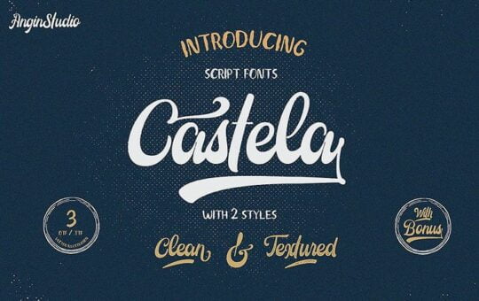 Castela-Script-Demo-Font.jpg