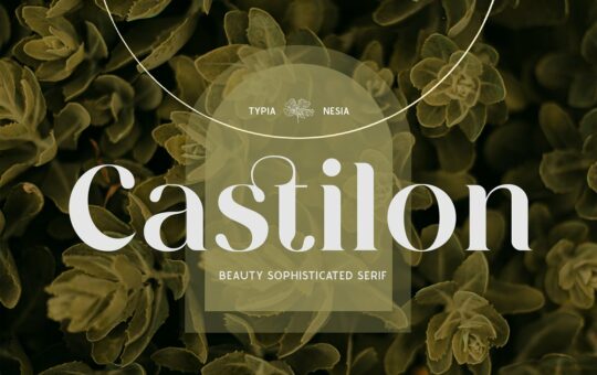 Castilon-Serif-Font-1.jpg
