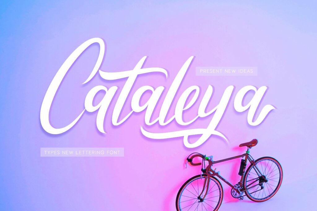 Cataleya-Font.jpg