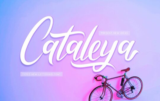 Cataleya-Font.jpg