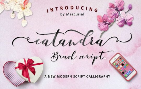 Catandra-Brush-Script-Font.jpg