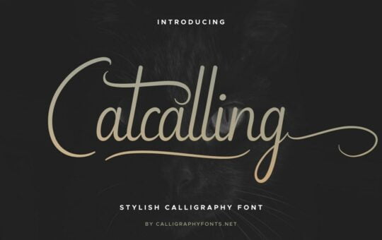Catcalling-Font.jpg