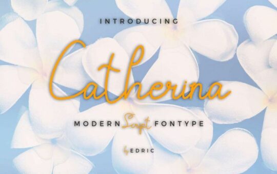 Catherina-Script-Font.jpg