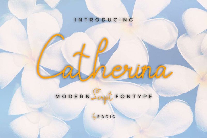 Catherina-Script-Font.jpg