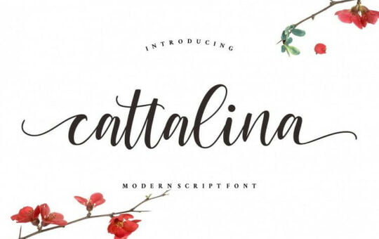 Cattalina-Script-Font-1.jpg