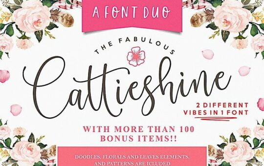 Cattieshine-Script-Font.jpg