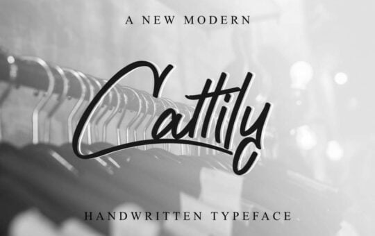 Cattily-Calligraphy-Font.jpg