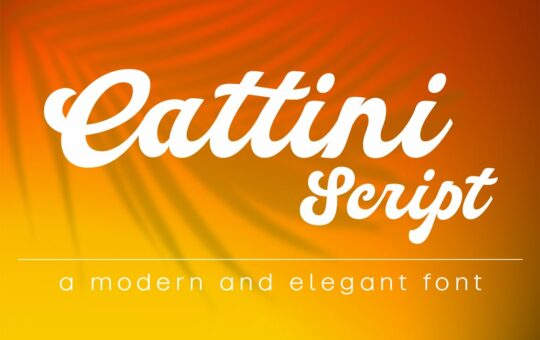 Cattini-Script-Bold-Font-1.jpg