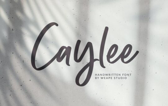 Caylee-Handwritten-Script-Font-1.jpg