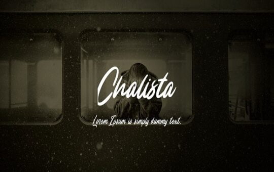 Chalista-Brush-Script-Font-5.jpg