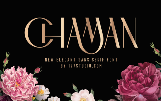 Chaman-Elegant-Sans-Serif-Font-1.png