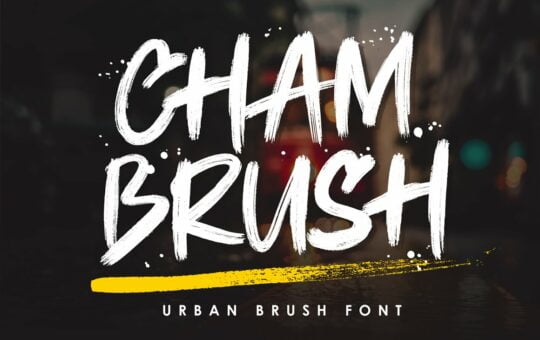 Chambrush-Urban-Brush-Script-Font-1.jpg