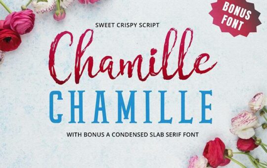 Chamille-Font-Duo.jpg