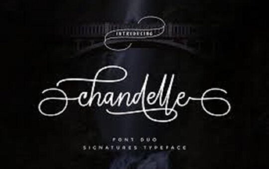 Chandelle-Signature-Font-4-1.jpg