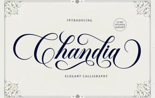 Chandia-Calligraphy-Font-1.jpg