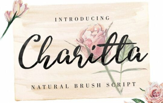 Charitta-Organic-Script-Font.jpg