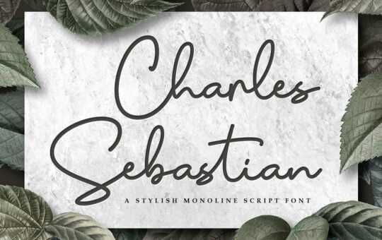 Charles-Sebastian-Monoline-Script-Font.jpg