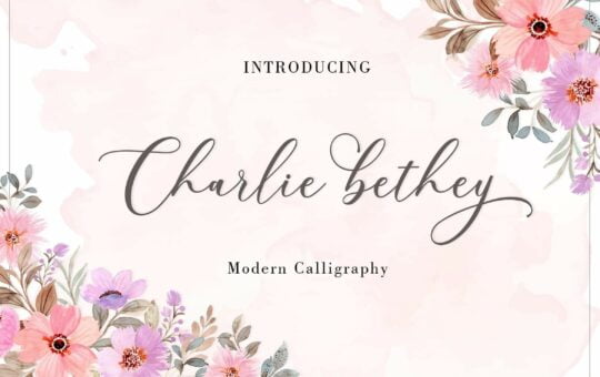 Charlie-Bethey-Calligraphy-Font-1.jpg