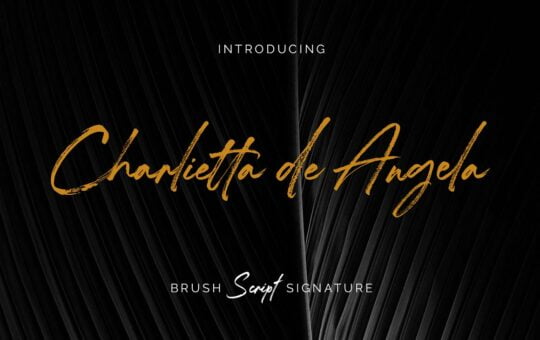 Charlietta-de-Angela-Brush-Font-1.jpg
