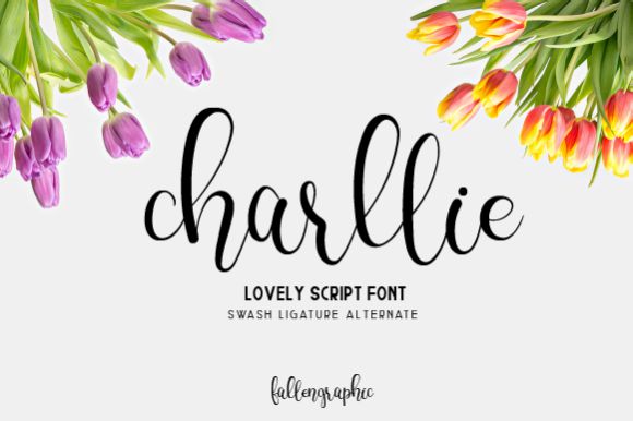 Charllie-Script-Font.jpg