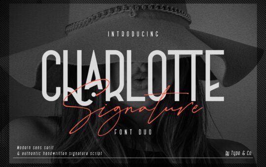 Charlotte-Display-Serif-Font-Duo-1.jpg