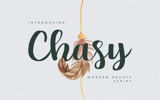 Chasy-Beauty-Calligraphy-Script-Font-1.jpg