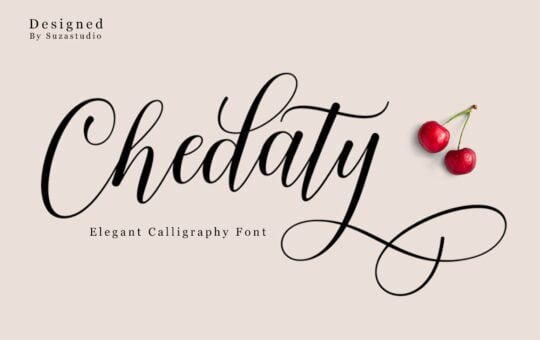 Chedaty-Script-Calligraphy-Font-1.jpg