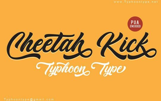 Cheetah-Kick-Font.jpg