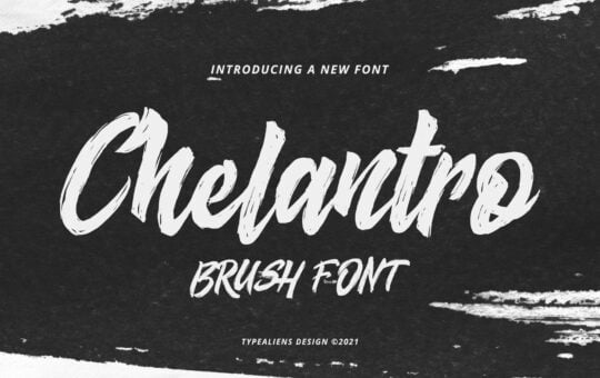 Chelantro-Script-Brush-Font-1.jpg