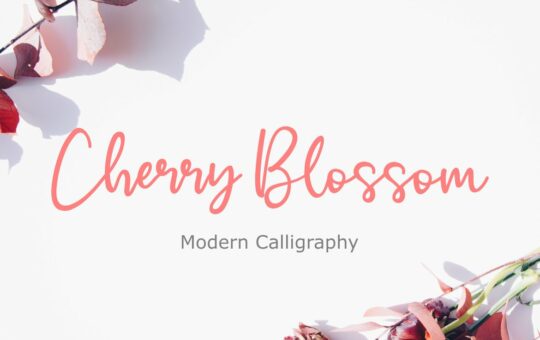 Cherry-Blossom-Handwritten-Script-Font-1.jpg