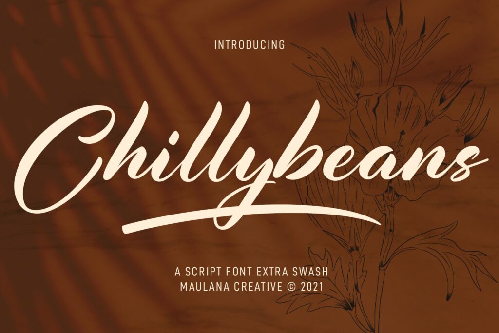 Chillybeans-Script-Brush-Font-1.jpg
