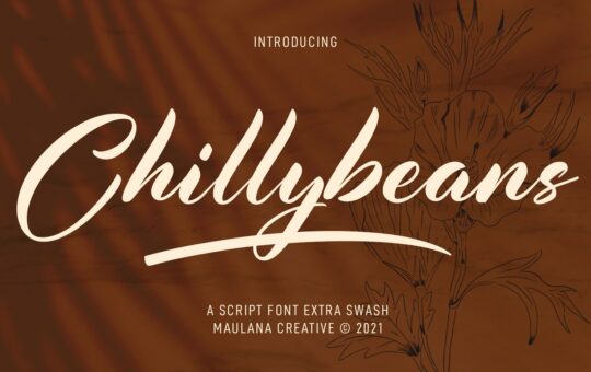 Chillybeans-Script-Brush-Font-1.jpg