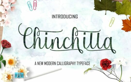 Chinchilla-Script-Font.jpg