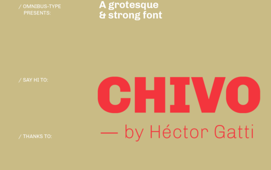 Chivo-Sans-Serif-Font-Family-2.png