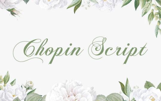 Chopin-Script-Calligraphy-Font-1.jpg