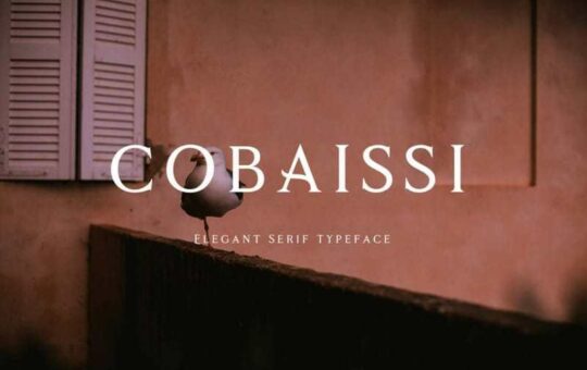 Cobaissi-Serif-Font-1.jpg