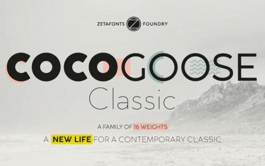 Cocogoose-Classic-Font-Famly.jpg