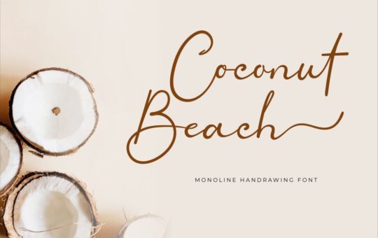 Coconut-Beach-Handwritten-Script-Font-1.jpg