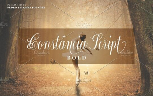 Constancia-Script-Font-1.jpg