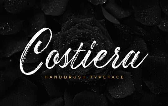 Costiera-Elegant-Brush-Font-1.jpg