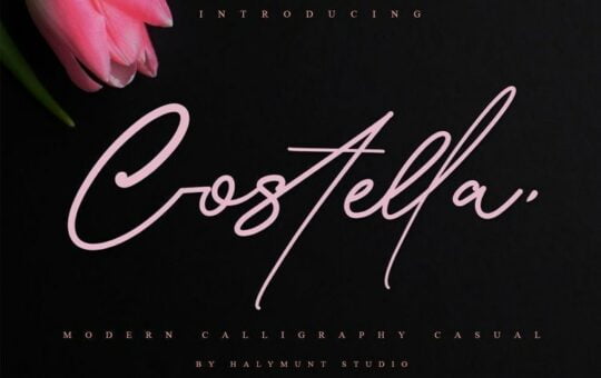 Costtella-Handwritten-Script-Font-1.jpg