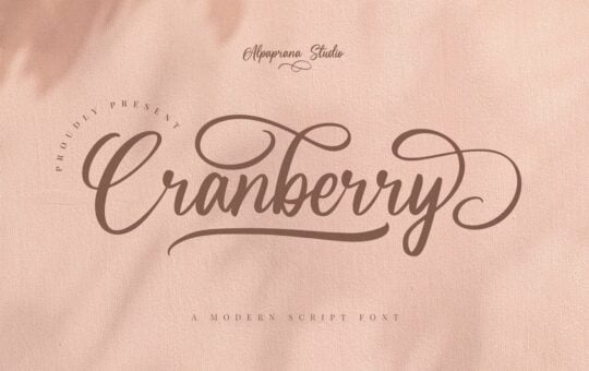 Cranberry-Calligraphy-Font-1.jpg