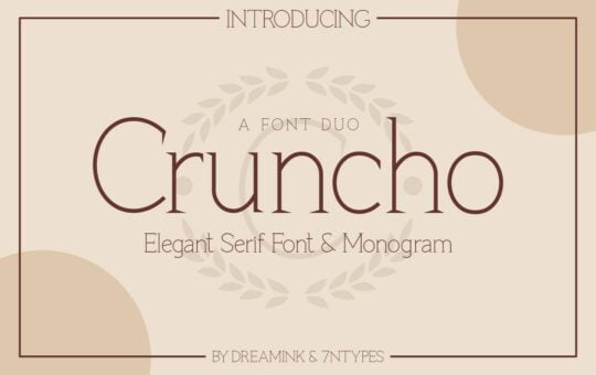 Cruncho-Elegant-Serif-Font-1.jpg